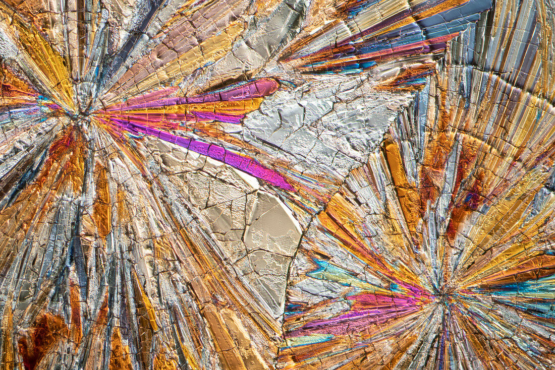 Liqueur, polarised light micrograph