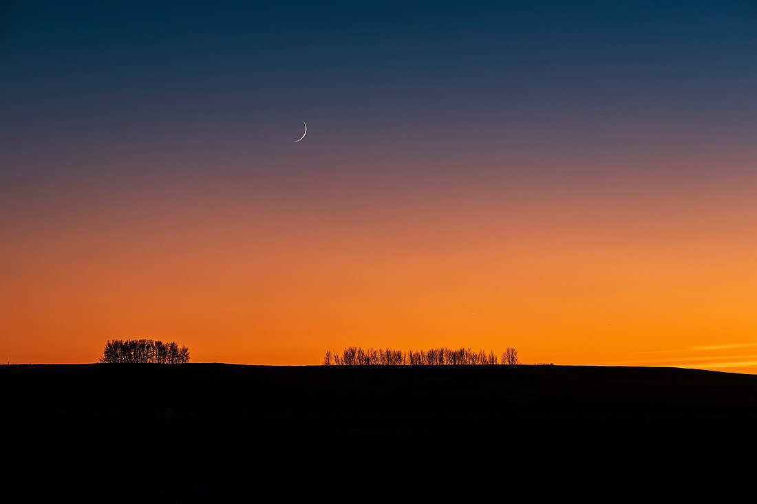 Waxing Moon and Venus in twilight