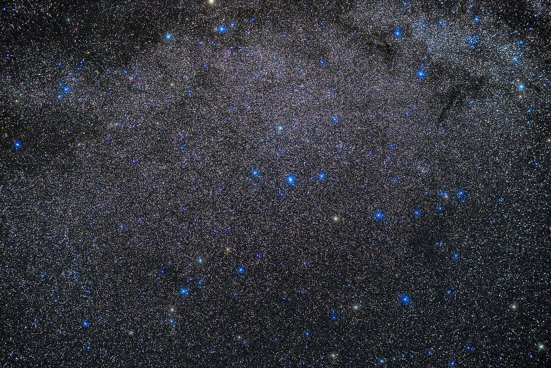 Constellation of Lacerta
