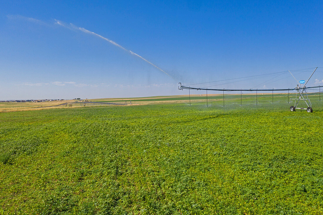 Center pivot Irrigation