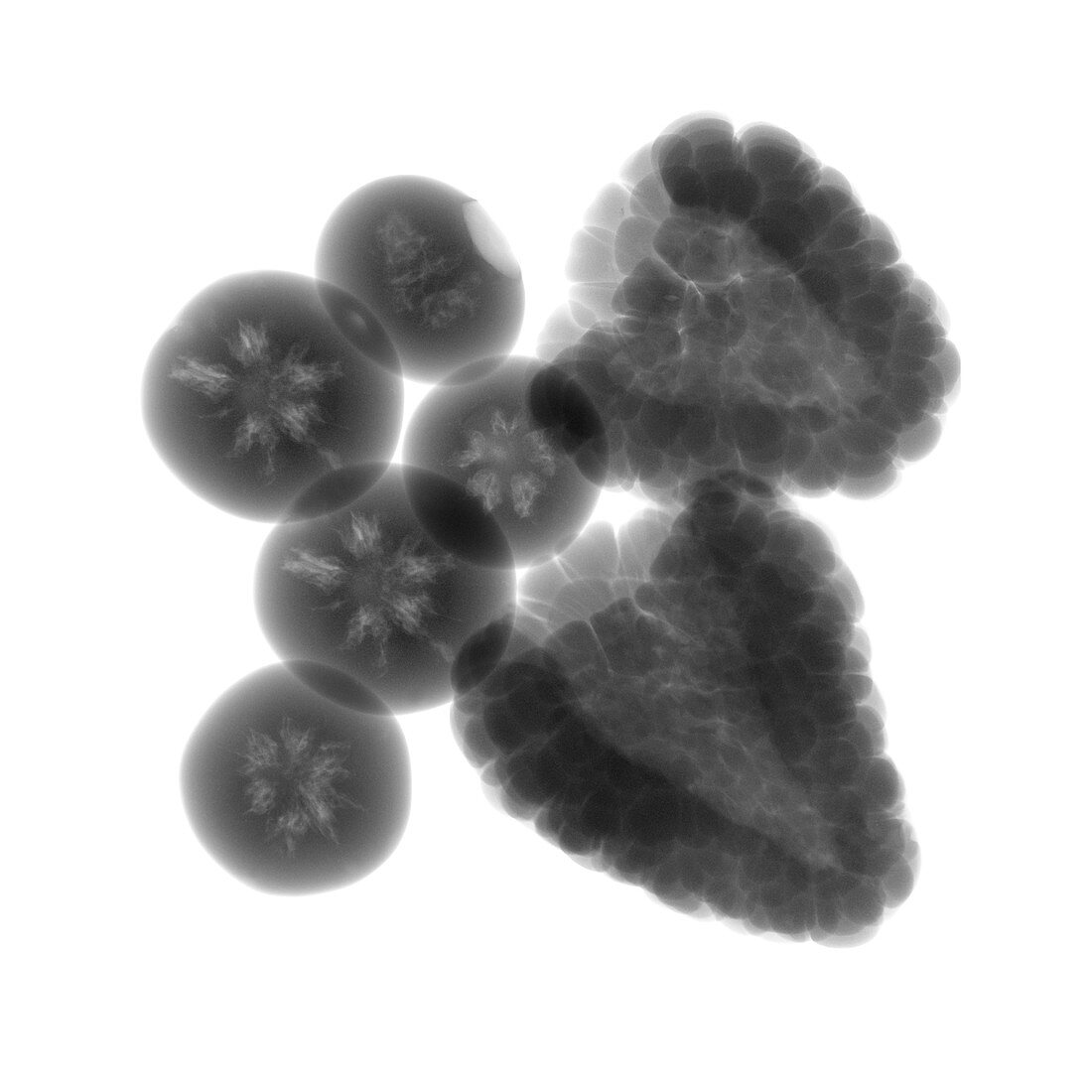 Raspberries and blueberries, X-ray