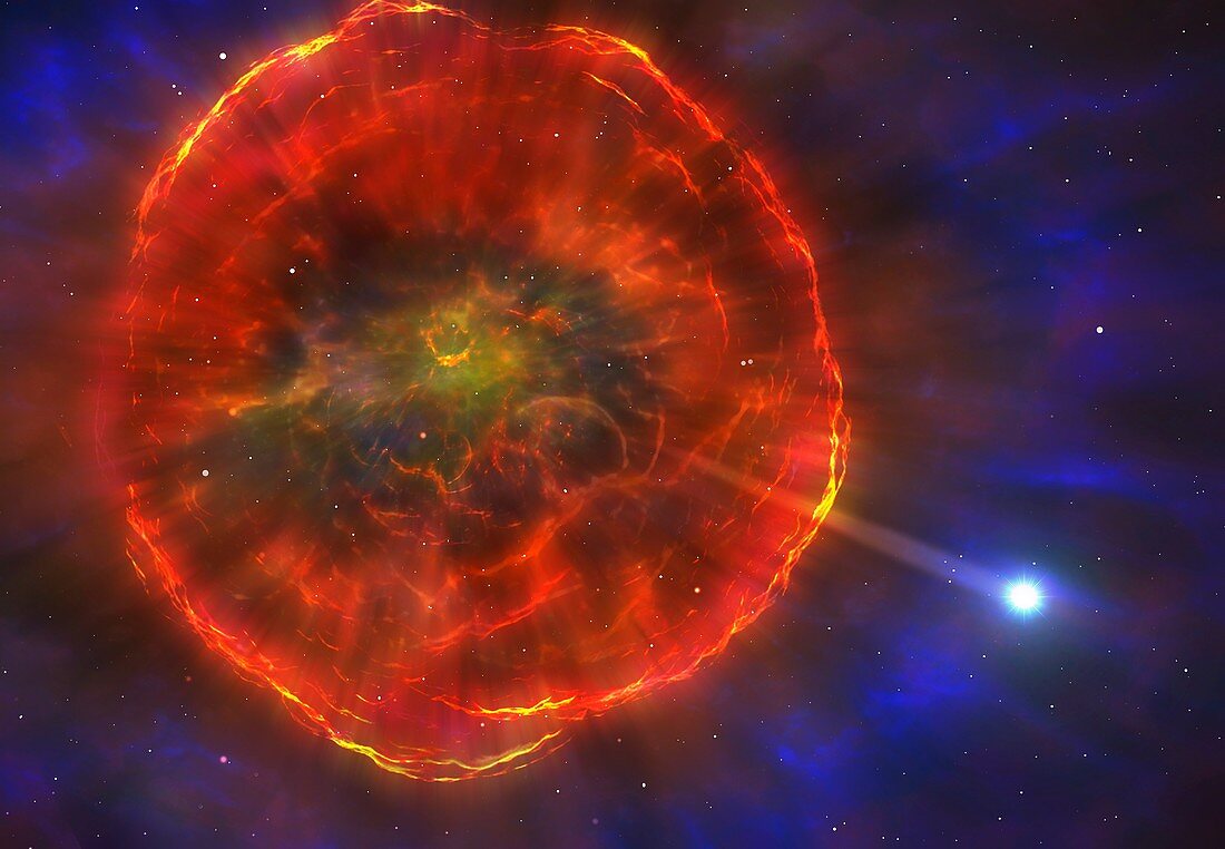 Supernova Ejecting a White Dwarf