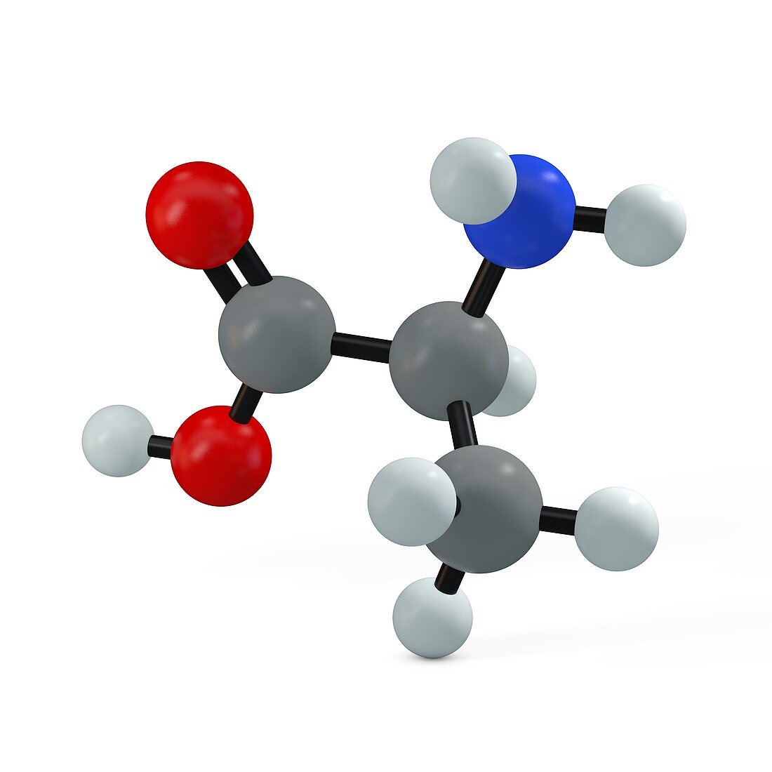 Alanine molecule, illustration