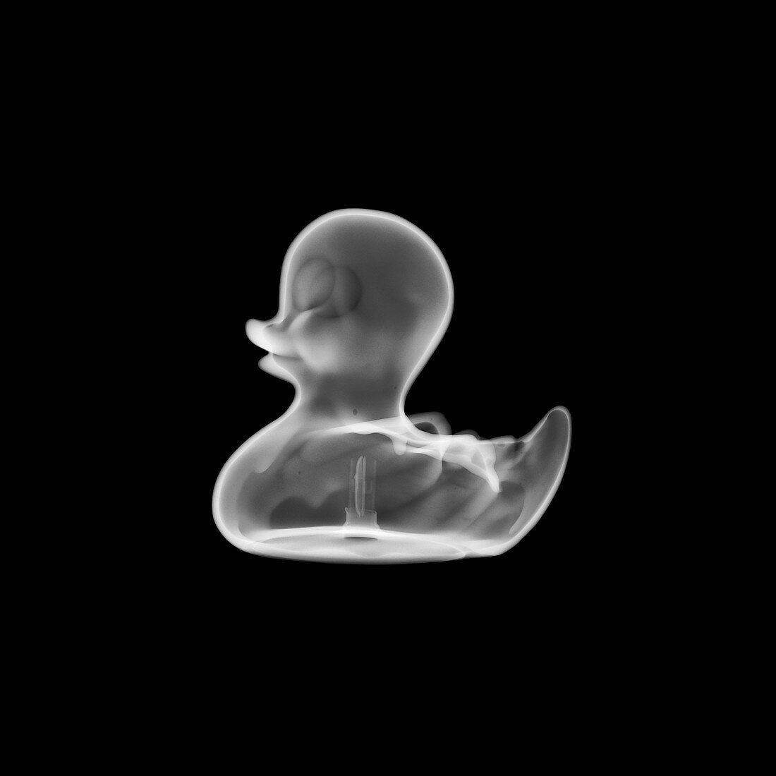Toy rubber duck, X-ray
