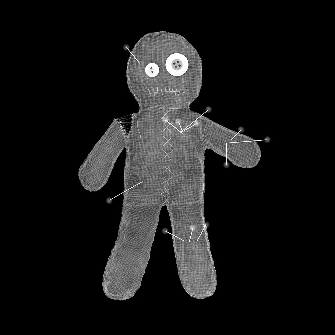Voodoo doll, X-ray