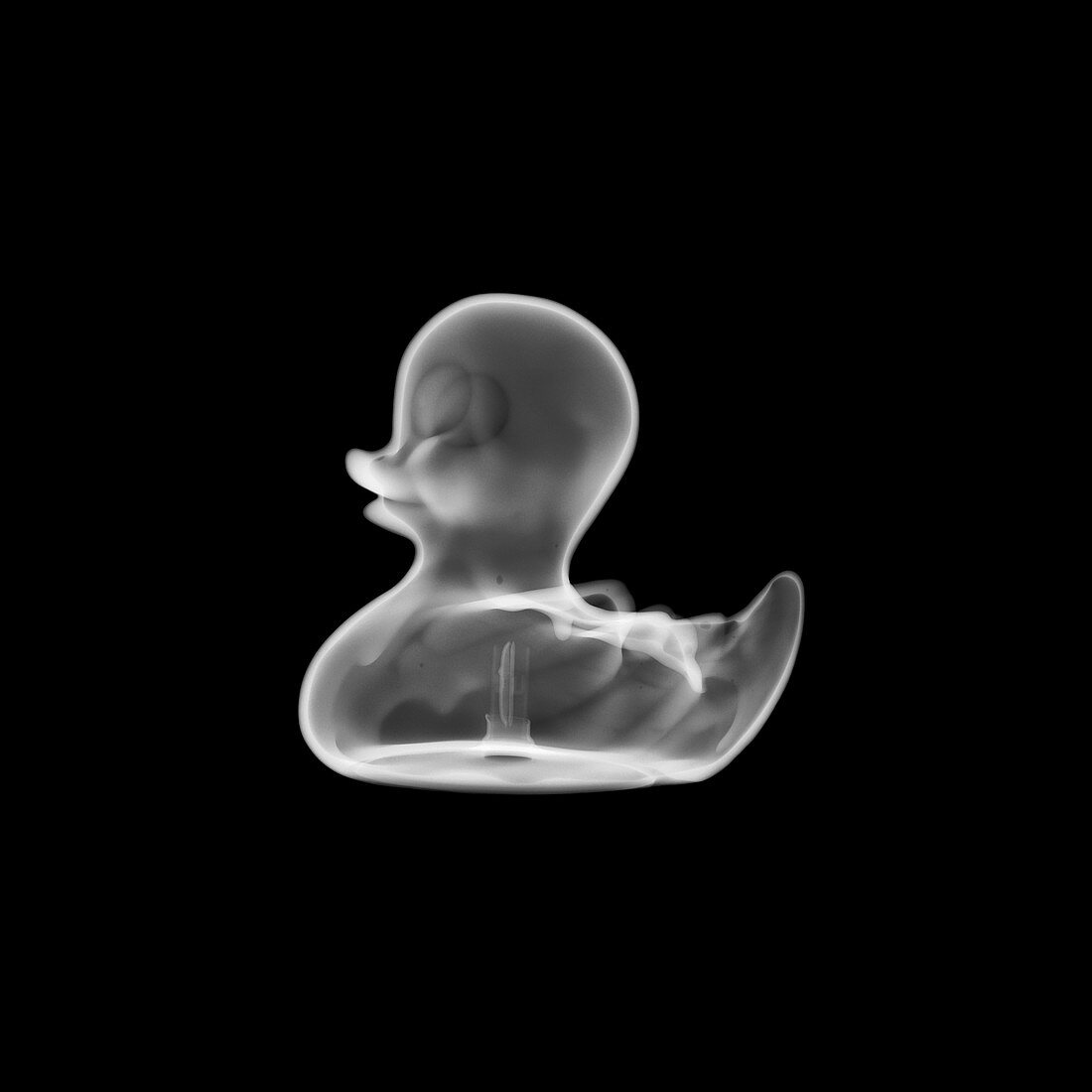 Rubber duck, X-ray