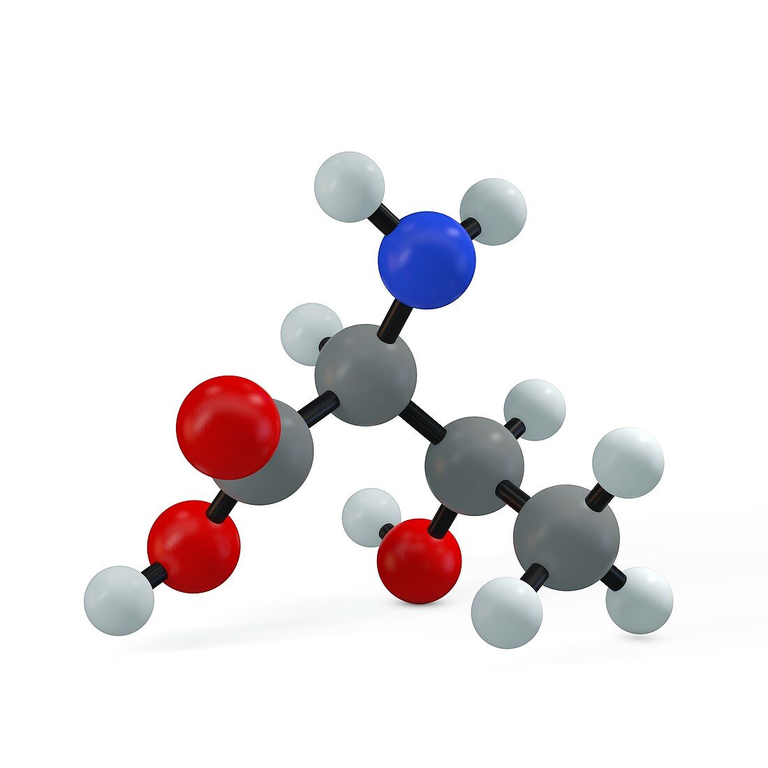 Threonine molecule, illustration
