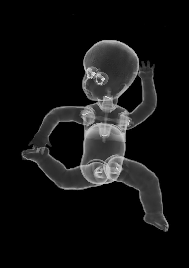 Plastic baby doll toy, X-ray
