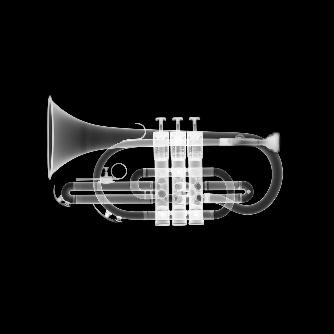 Brass cornet, X-ray