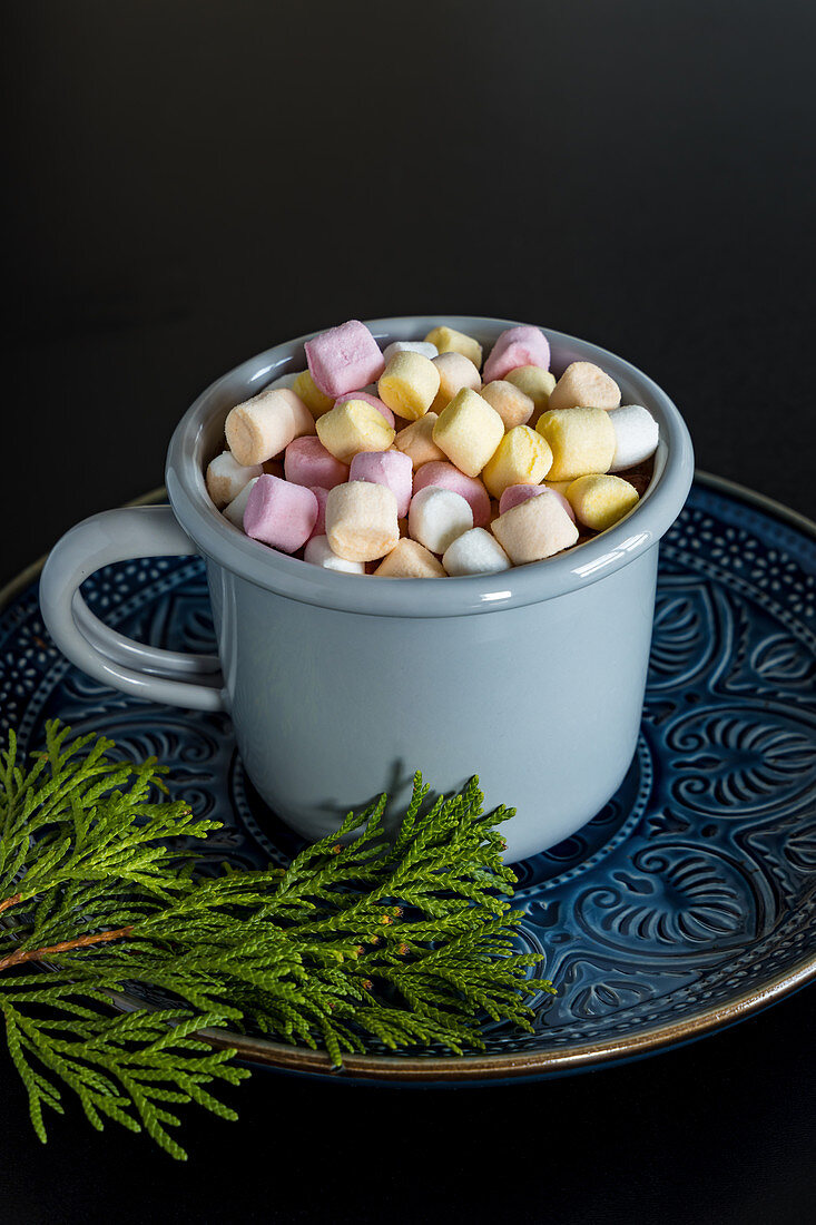 Homemade cocoa drink, hot chocolate with marshmallows