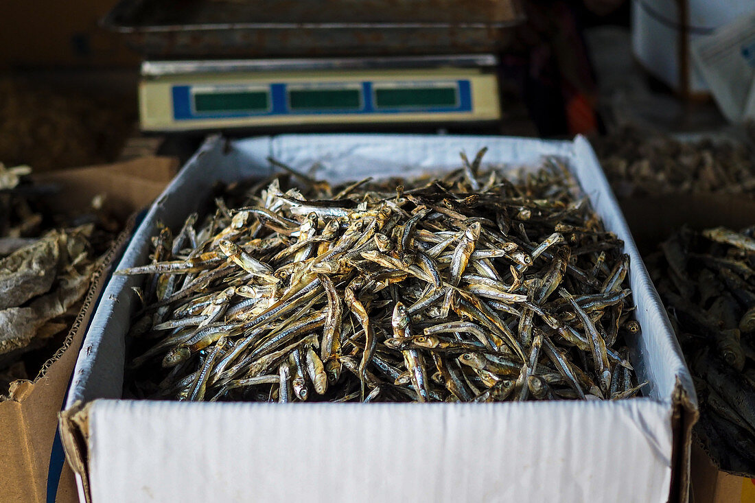 Getrocknete Fische in Kartons auf Markt in Sri Lanka