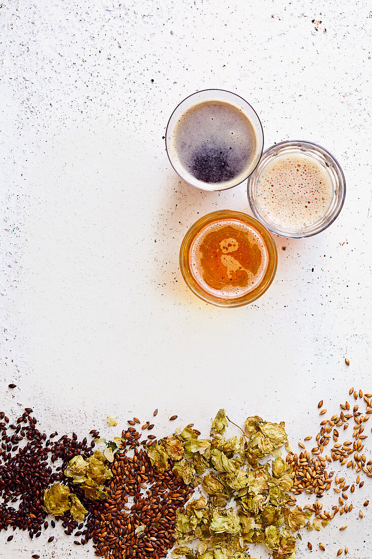 Beer ingredients (hops and malt) and variety