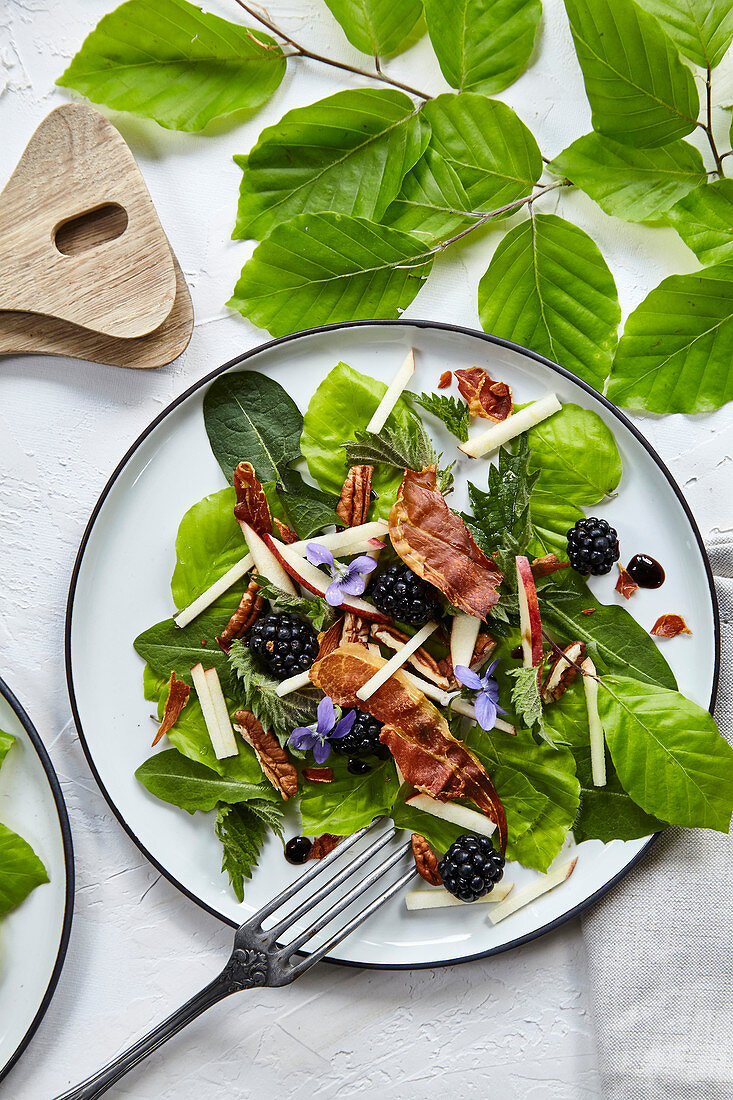 Salat mit Rotbuchenblättern, Löwenzahn, Brombeeren und Parmaschinken