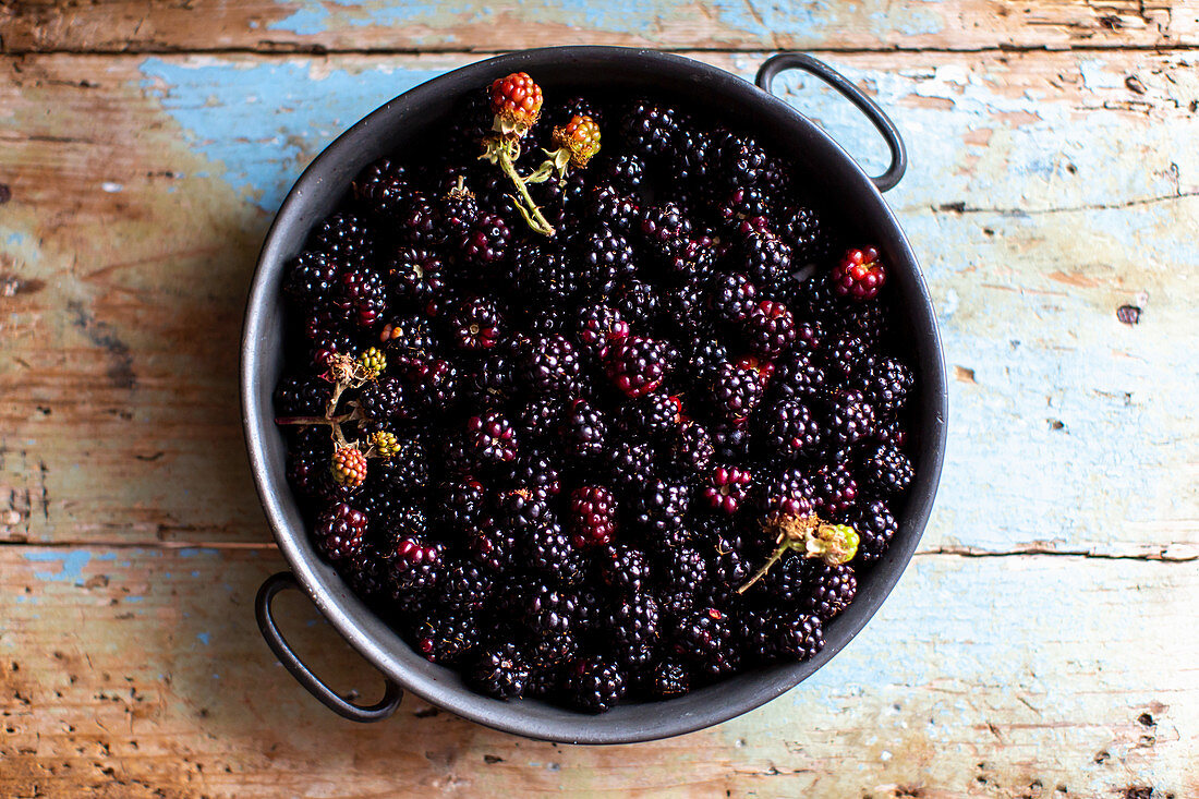 Frische Brombeeren in Metallgefäß