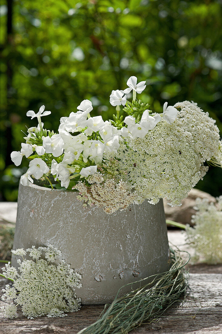 Queen Anne's lace and phlox