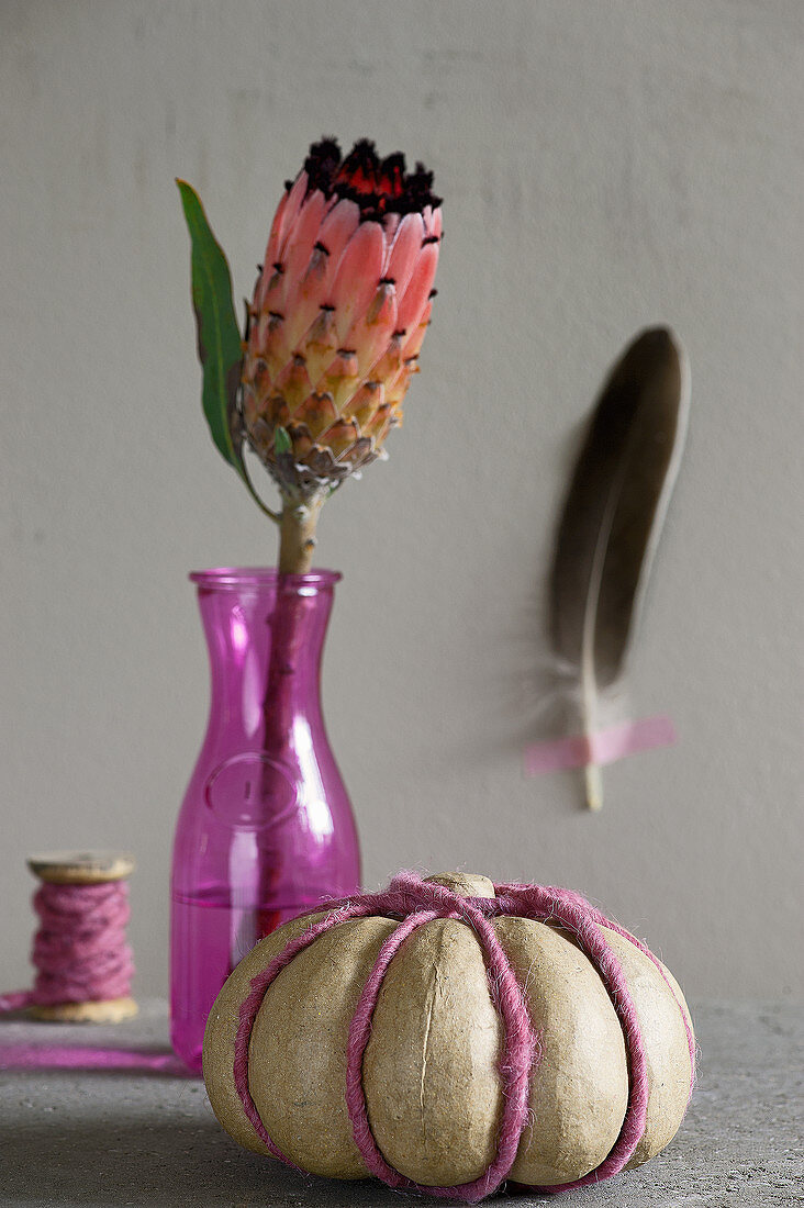 Protea in pinker Vase, künstlicher Kürbis dekoriert mit Wollschnur