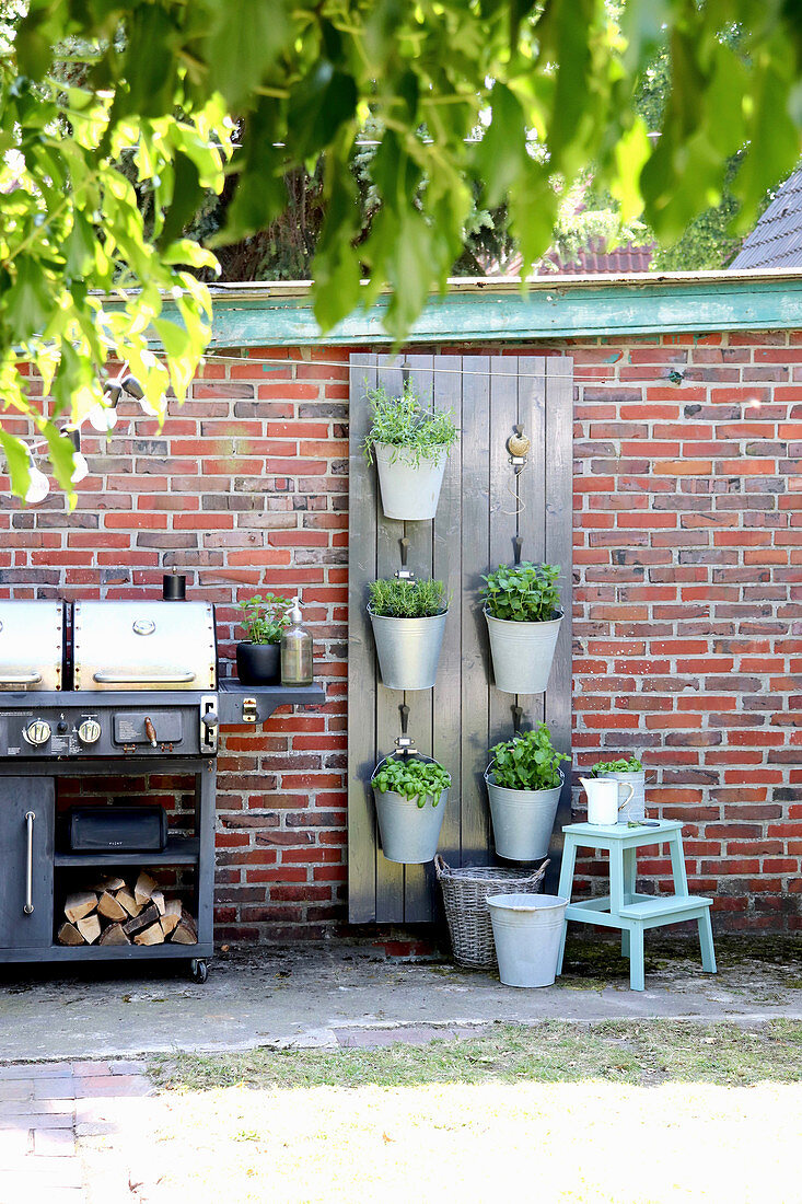 Vertical gardening: potted herbs hung from board