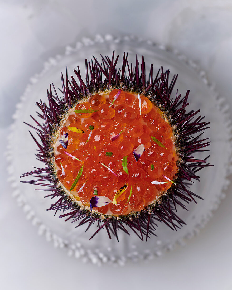 Sea urchins with salmon caviar