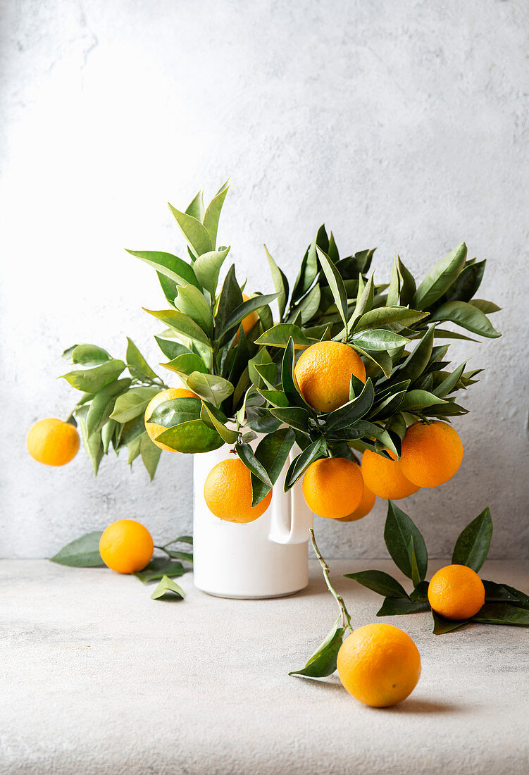 Orange tree branches bouquet with orange fruits in white jar