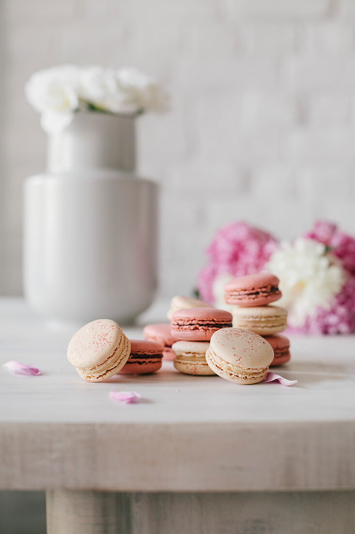 Hand made macarons on a modern light background