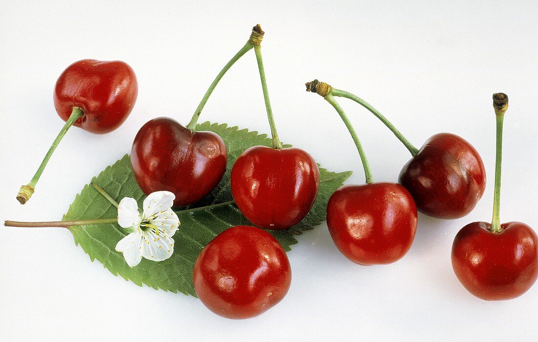 Red Cherries with Cherry Blossom and Leaf