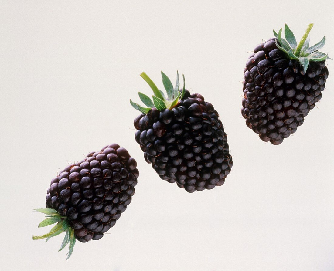 Drei Brombeeren