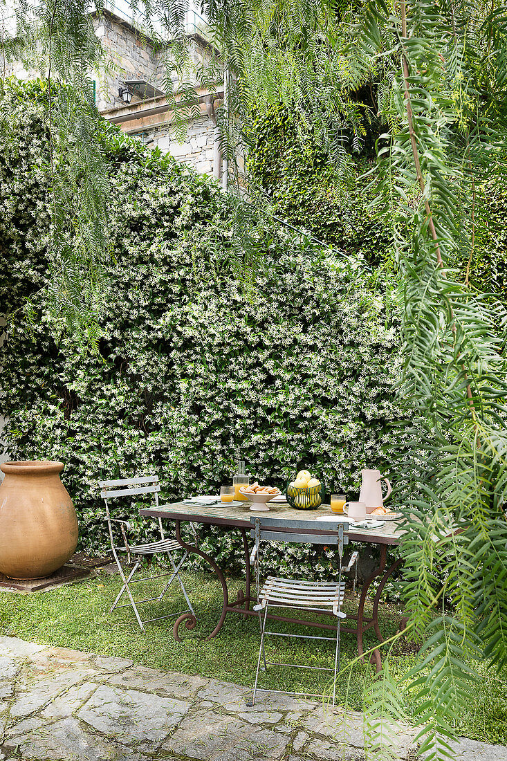 Breakfast table in garden