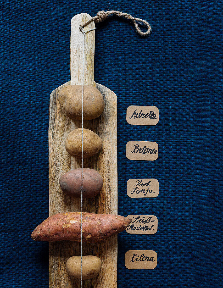Verschiedene Kartoffelsorten auf Holzbrett