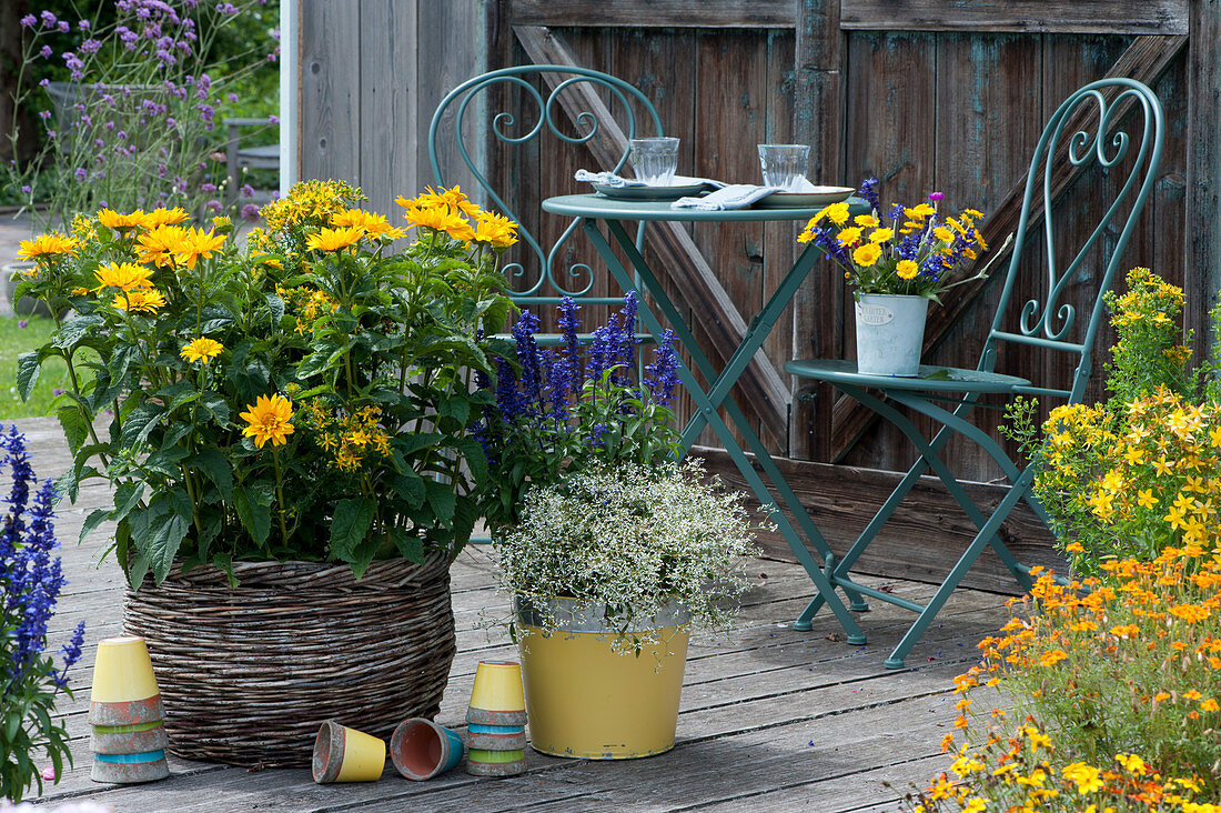 Terrasse mit Sonnenauge 'Sole d'Oro', Johanniskraut, Mehlsalbei, Zauberschnee und Studentenblumen, Strauß aus Ringelbumen und Mehlsalbei