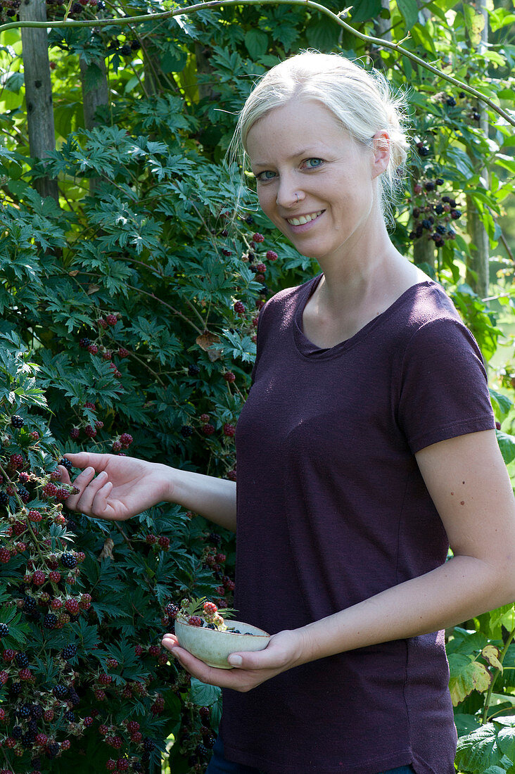 Woman picking blackberries