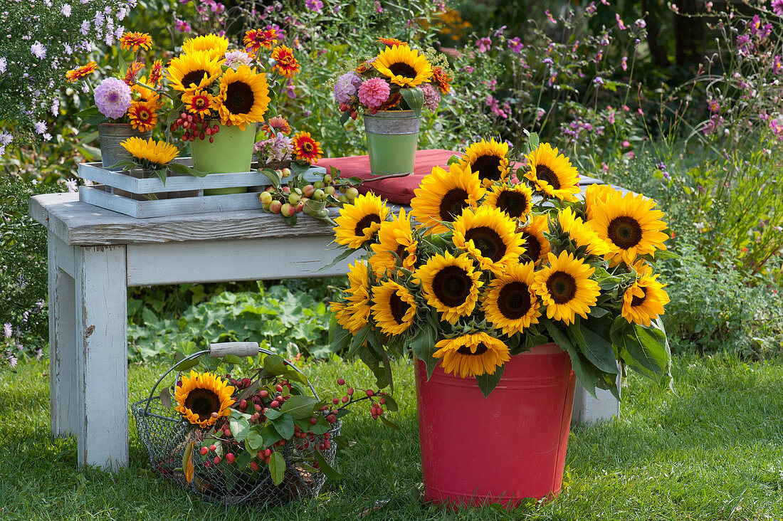 Sträuße mit Sonnenblumen, Zinnien, Dahlien und Zieräpfeln