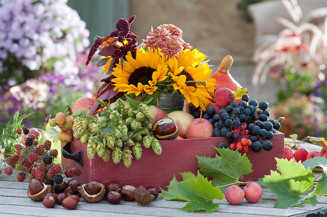 Thanksgiving decoration with sunflowers, hops, apples, grapes, autumn chrysanthemum, amaranth, chestnuts, blackberries and ornamental apples