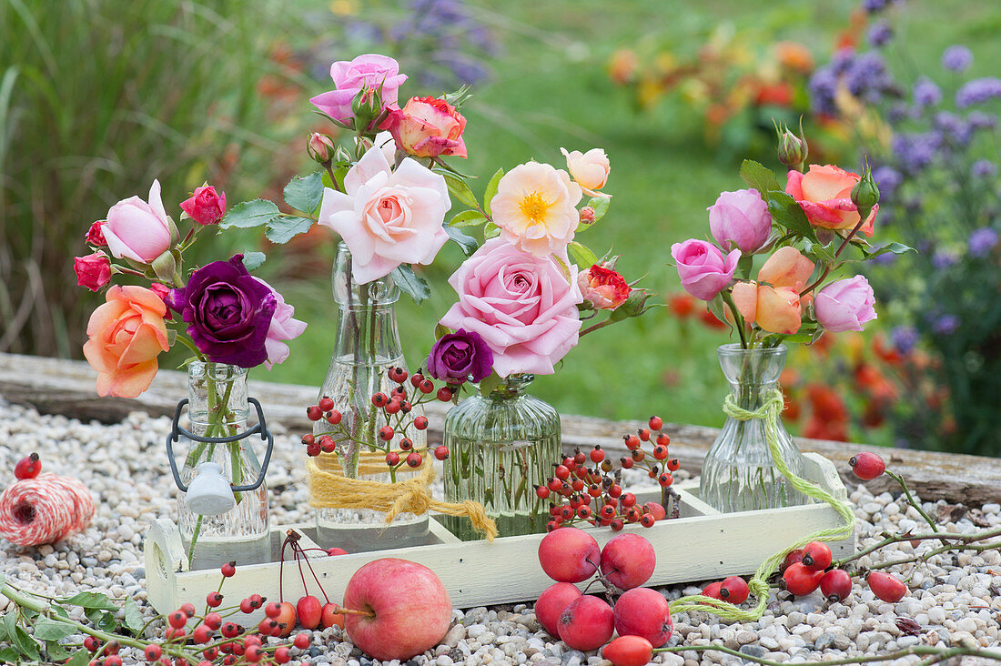 Variety of roses in autumn in glass bottles