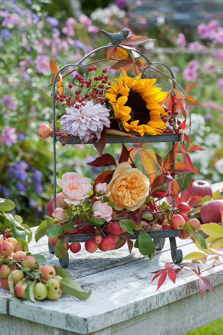 Metall-Etagere herbstlich dekoriert mit Sonnenblume, Rosenblüten, Dahlie, Zieräpfeln und Ranken vom wilden Wein