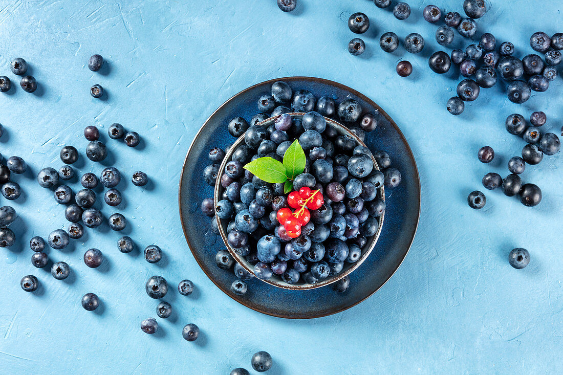 Fresh blueberries with green leaves and a branch of redcurrants