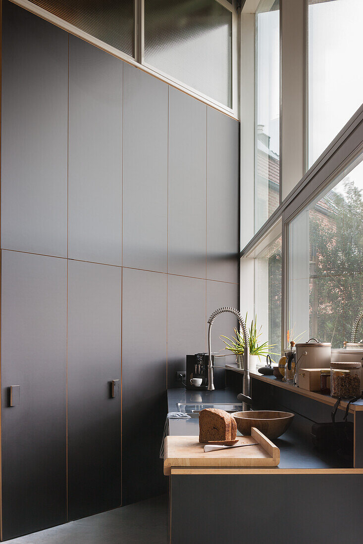 Modern kitchen with tall dark cupboard unit and high window front