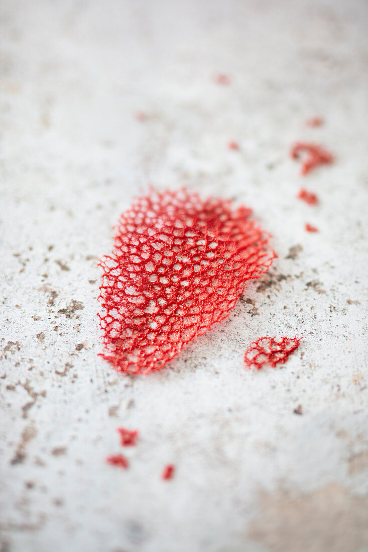 Coral stick for garnishing (vegan)