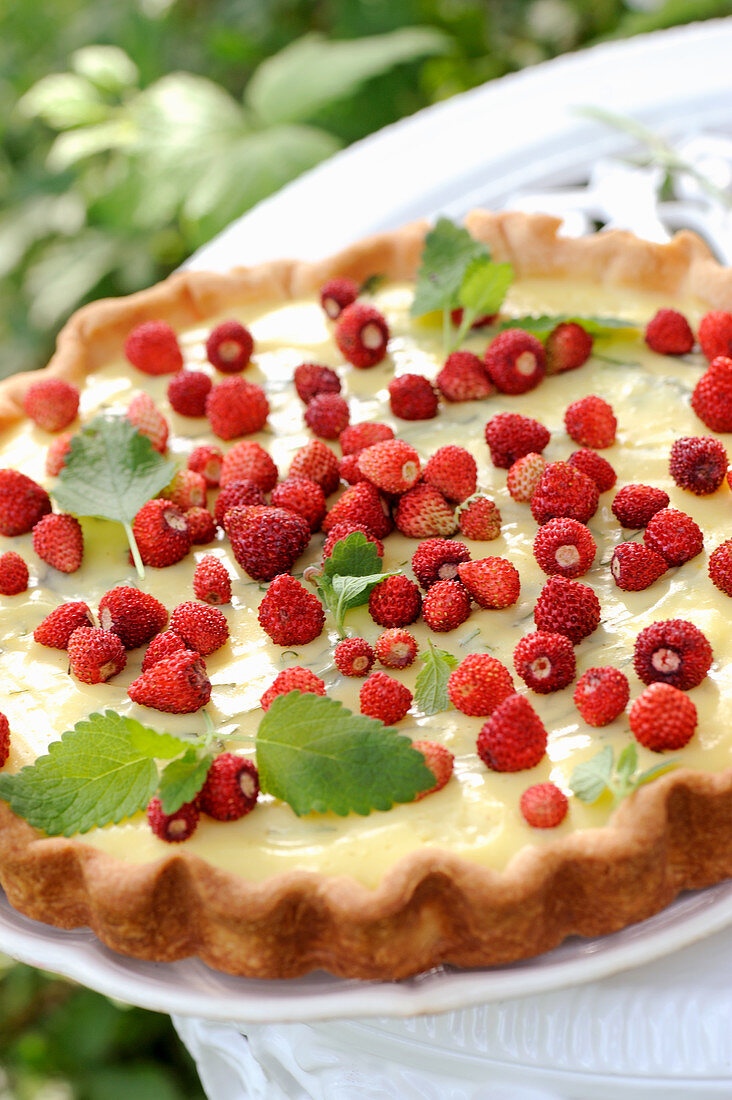 Wild strawberry tart with vanilla cream