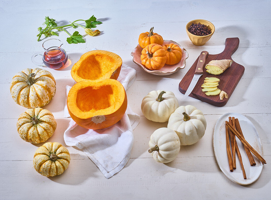 Getting ready for pumpkin pie after harvesting the pumpkins