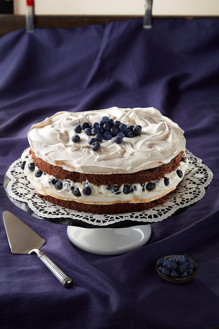 Meringue and blueberry cake