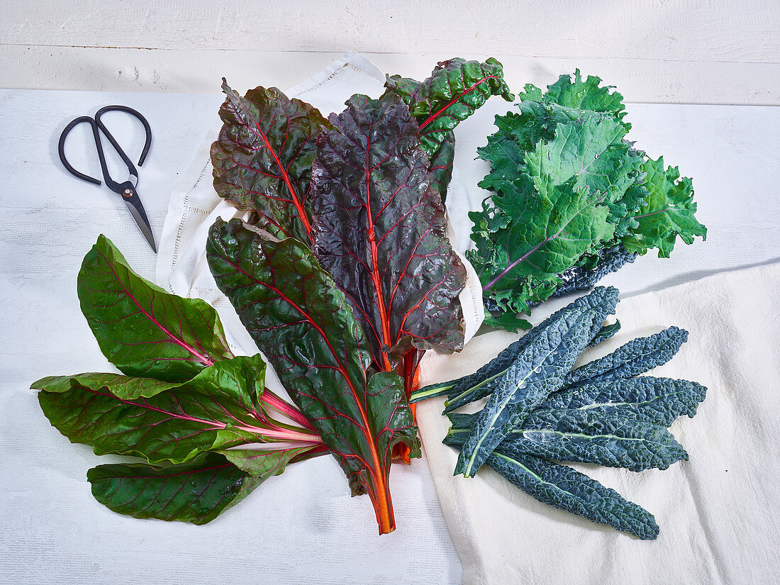 Kale, Rainbow Chard, Chard