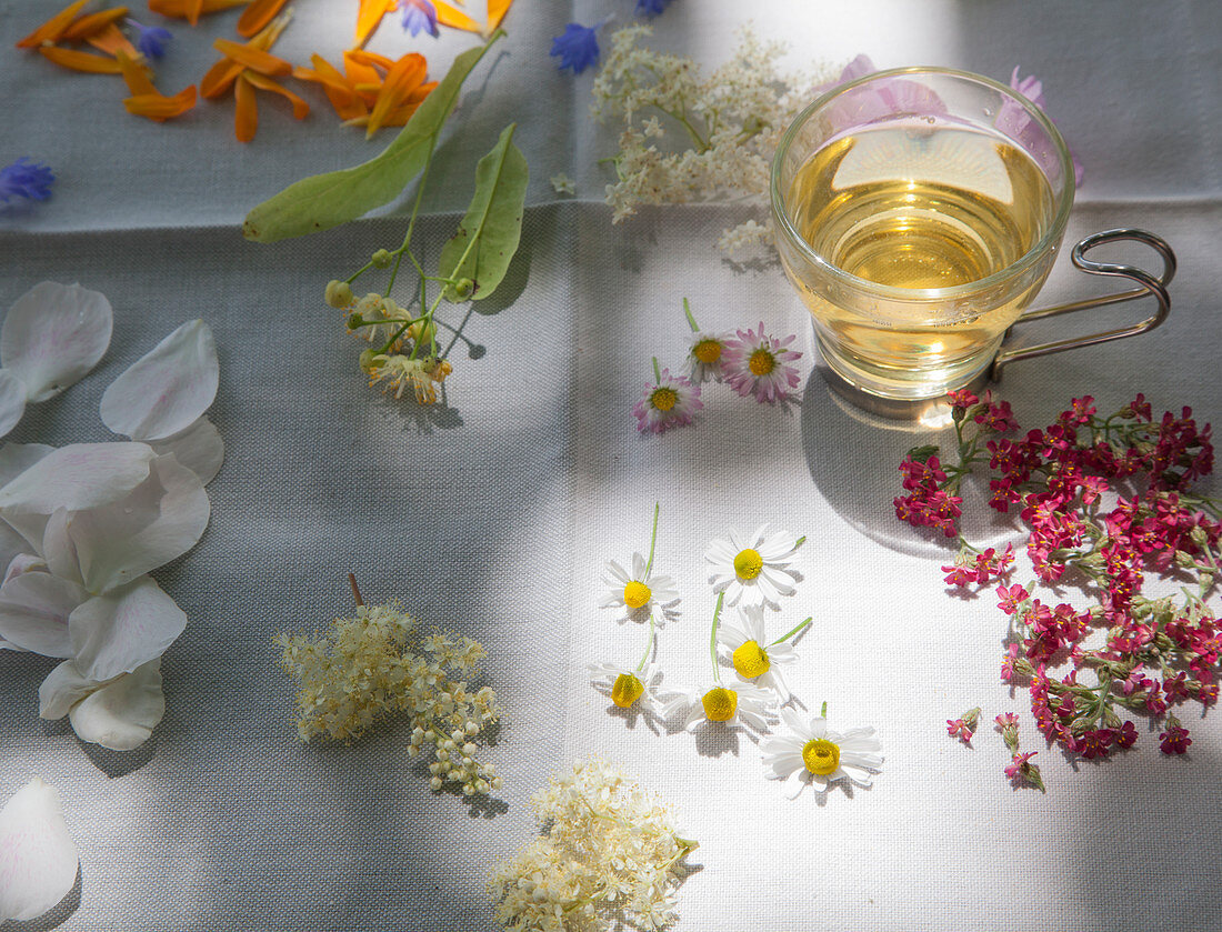 Flower tea and edible flowers