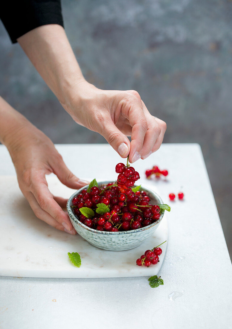 Frische Johannisbeeren in einem Schälchen