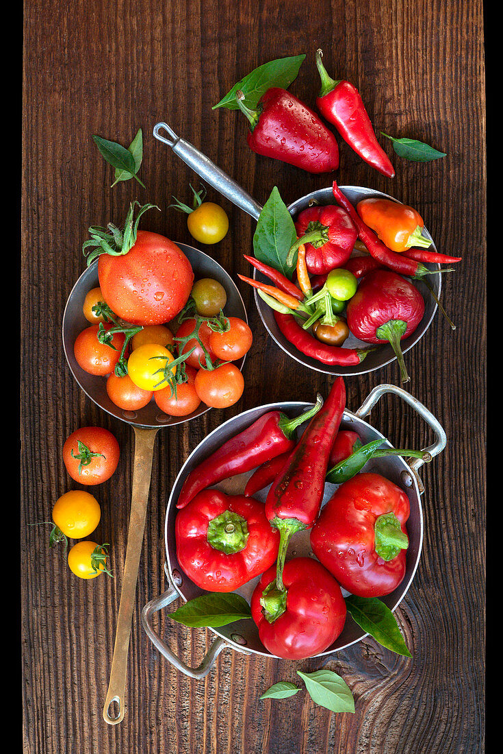 Stillleben mit roten Paprika-, Chilischoten und Tomaten