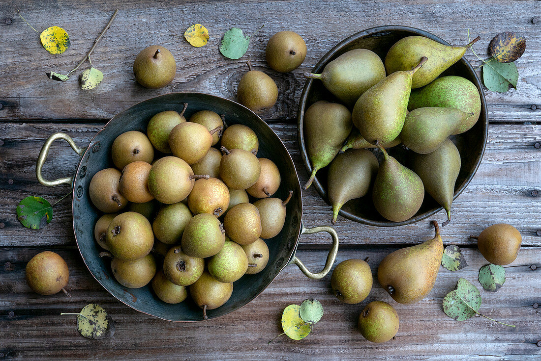 Small pears in metal dishes on a wooden table top in the garden