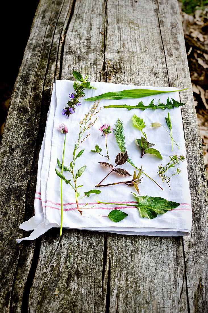 Meadow herbs on a white cloth
