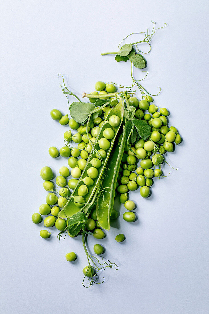 Heap of young sweet organic green pea in pods with sprouts over grey background