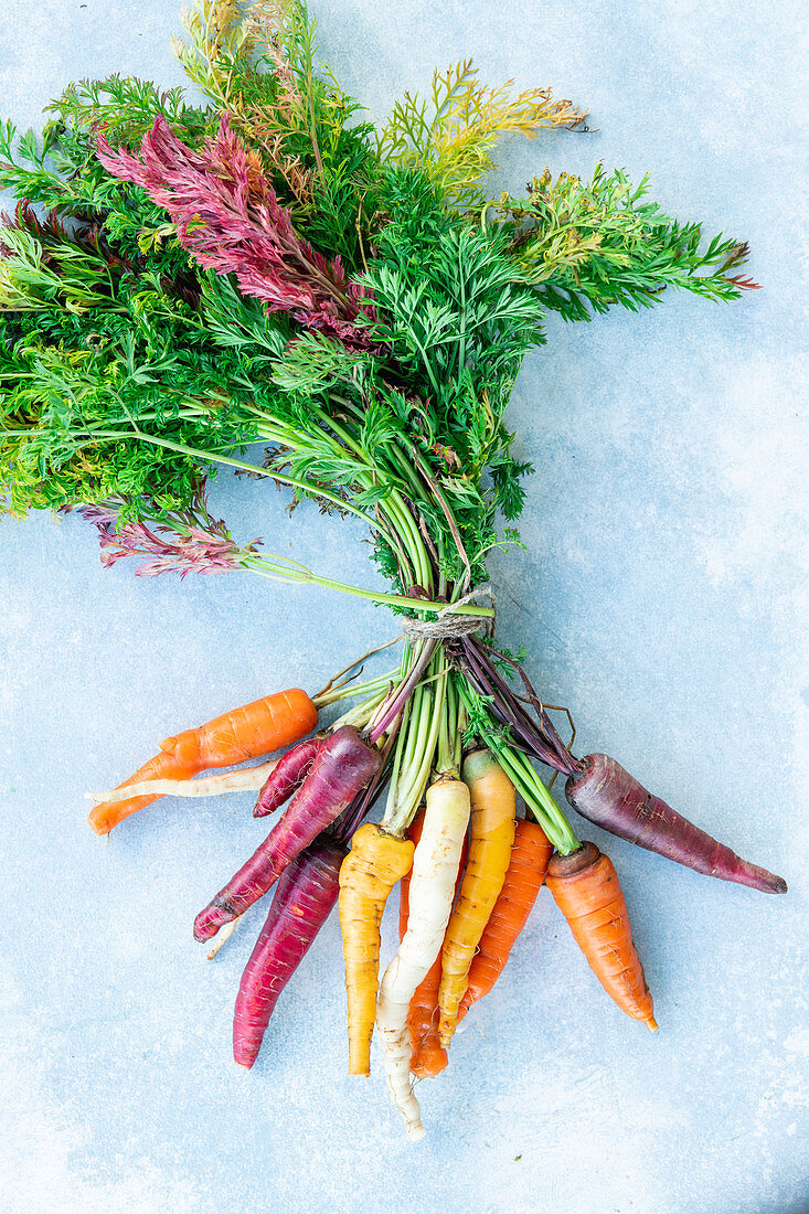 Colorful carrots