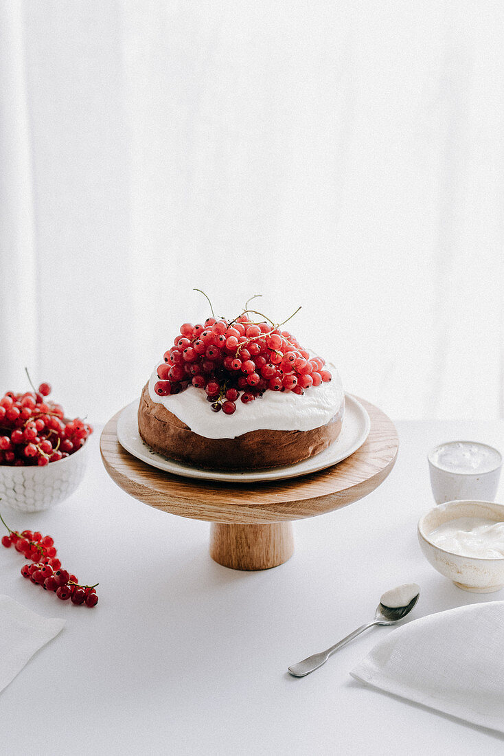 Kuchen mit Ricottacreme und roten Johannisbeeren