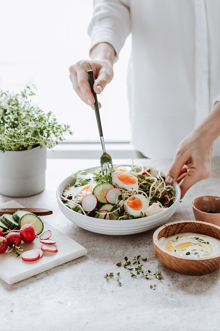 Salad with cucumber, radish sprouts and egg